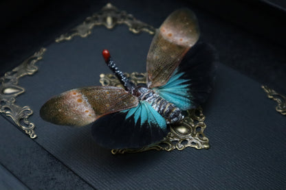 Lanternfly