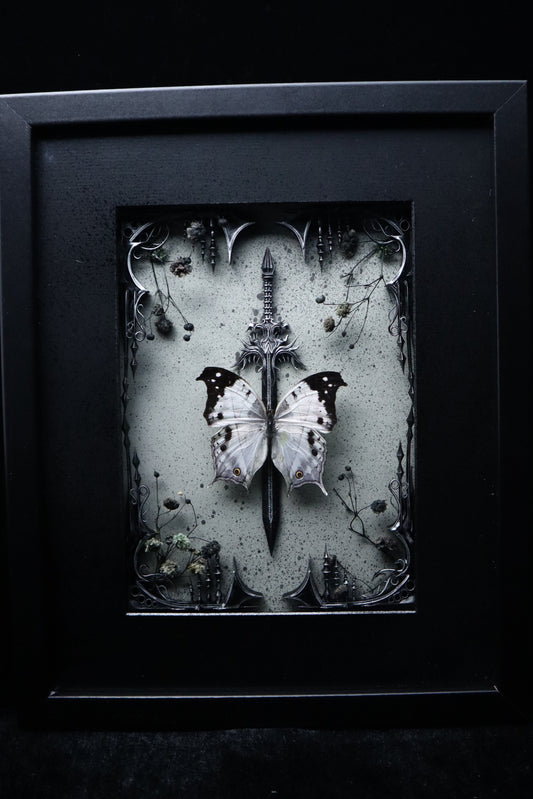 Forest Mother of Pearl Butterfly