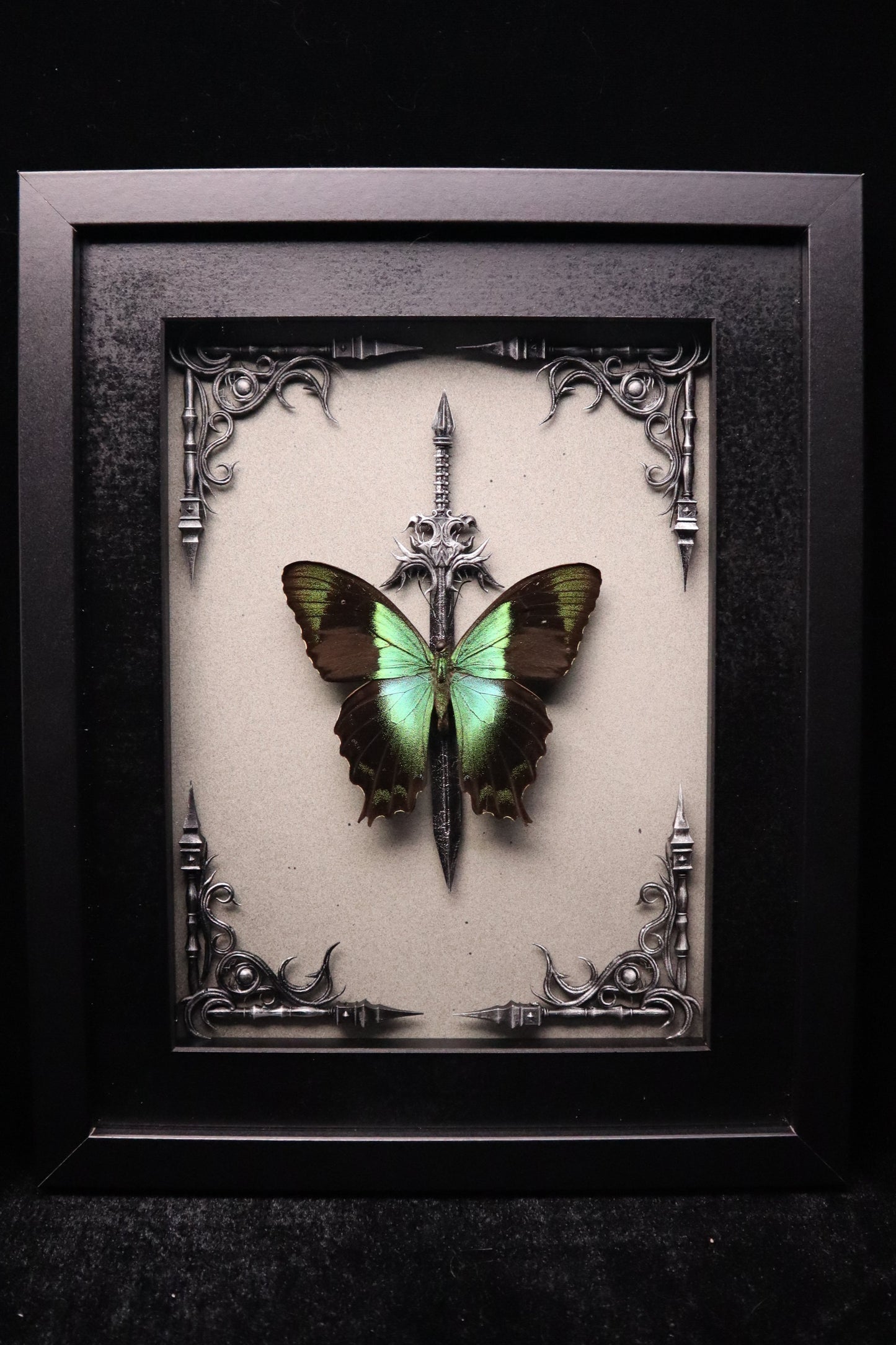 Papilio Peranthus