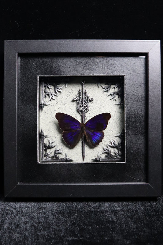 Shining Purple Wing