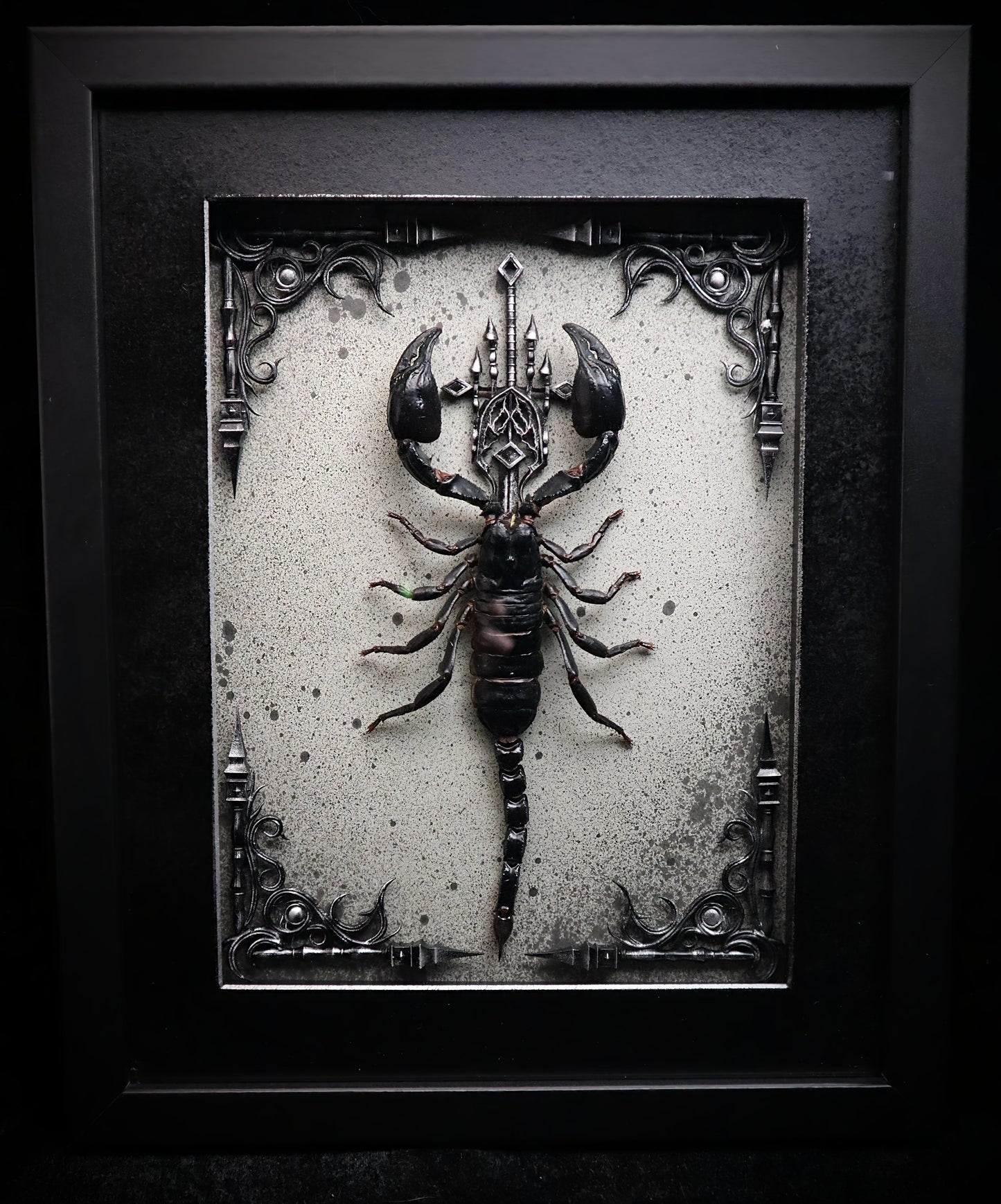 Vietnam Forest Scorpion