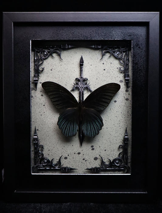 Great Mormon Butterfly
